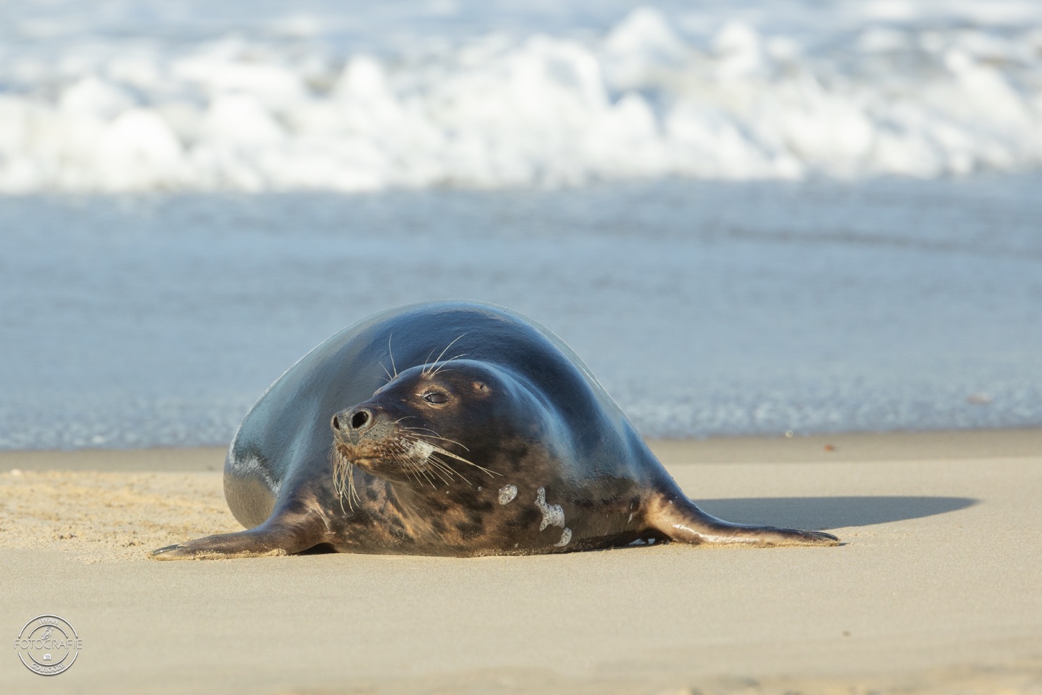 08 januari 2023 151544 1R2A3235